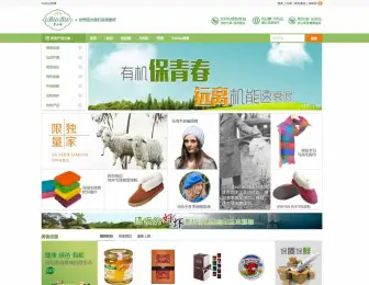 WordPressWooCommerce跨境电商网站