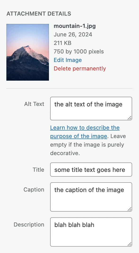 WordPress attachment information – alt text, caption, title and description